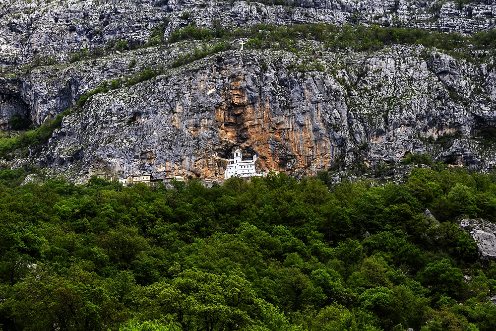 Unveiling the World of Ostropologe: Beyond the Surface